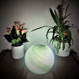 Glass Sphere Hand Blown Lamp - Sage Green