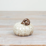 Ceramic Beige textured squashed Pumpkin Decoration