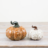 Ceramic Wart Textured small off white Pumpkin