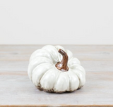 Ceramic Beige textured squashed Pumpkin Decoration