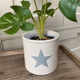 White Planter with Grey Star