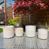Vivi off White Melange Plant Pot - 2 sizes & design