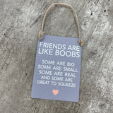 Grey Mini Metal Hanging Signs 9x6.5cm with jute string Quote - Friends Are Like Boobs - Some Are Big, Some Are Small, Some Are Real And Some Are Great To Squeeze