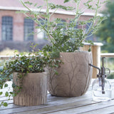 Tamara Terracotta Leaf Plant Pot - Medium & Large