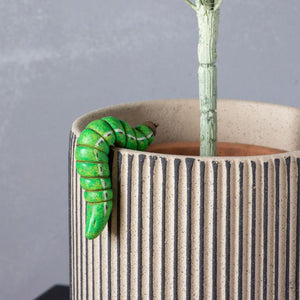 Pot Hangers adding character to your Planter or vase; Jackson Caterpillar Pot Hanger H7cm