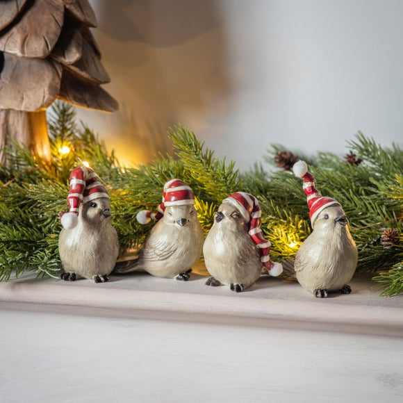 Birds with Stripey Christmas Hats
