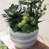 Potted Succulents in Ceramic Pot - small