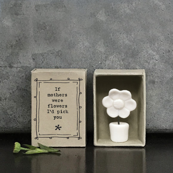 East of India quotable matchbox collection Porcelain small Flower in a pot presented in a small matchbox with the words; 'If mothers were flowers I'd pick you'