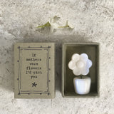 East of India quotable matchbox collection Porcelain small Flower in a pot presented in a small matchbox with the words; 'If mothers were flowers I'd pick you'