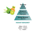 Maison Berger - Dreams of Freshness - Radiant Bergamont