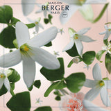 Maison Berger - Precious Jasmine Lampe Berger Refill