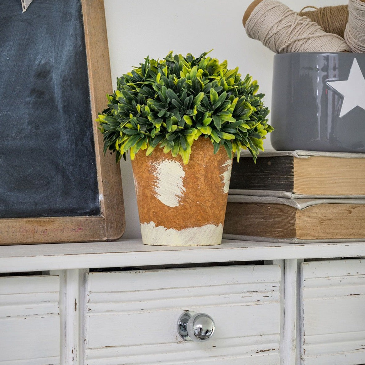 Retreat - Faux Box Bush in Terracotta Style Pot 13cm – The Life Store Brigg