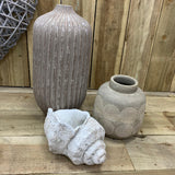 Stylish grey concrete conch shells - rustic unfinished look - 23 cm & 27 cm