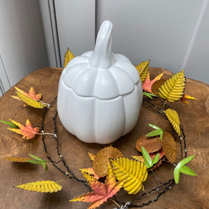 Matte White Pumpkin Jars