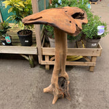 Giant Teak Mushroom H120cm  *CLICK & COLLECT ONLY*