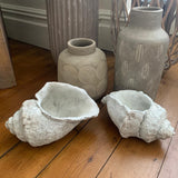 Stylish grey concrete conch shells - rustic unfinished look - 23 cm & 27 cm