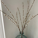 Bundle of 3 Artificial Pussy Willow Spray H120cm