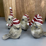 Birds with Stripey Christmas Hats