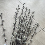 Bundle of 6 Artificial Pussy Willow Sprays - 70cm