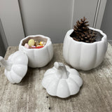 Matte White Pumpkin Jars